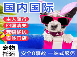 格尔木空运国际宠物托运 【国